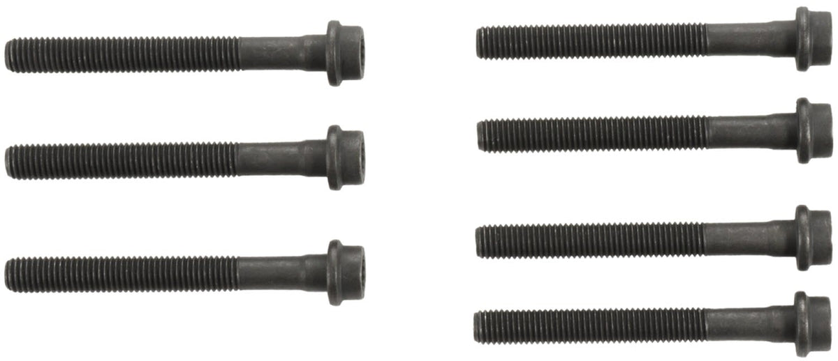 MCIGS33558