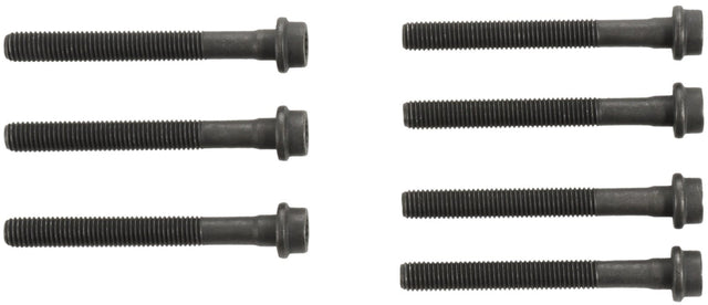 MCIGS33558