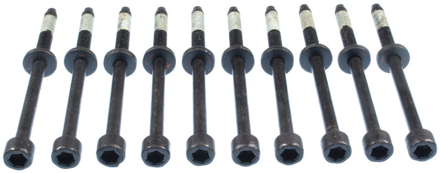 MCIGS33597