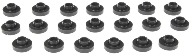 MCIGS33794