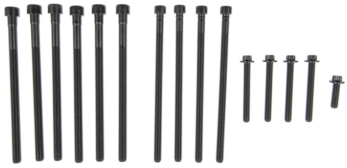 MCIGS33795