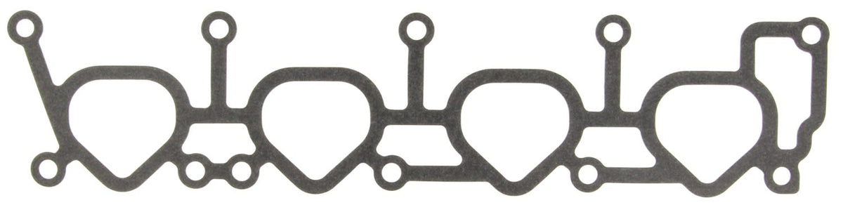 MCIMS19209