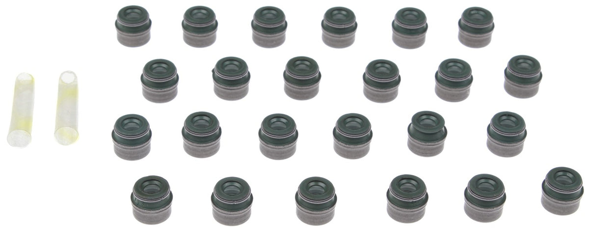 MCISS46097