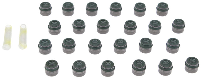 MCISS46097