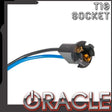 OCL2029-504