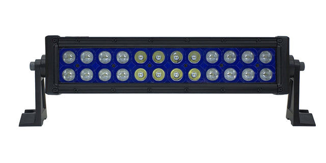 QKEQUU619