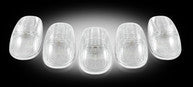 REC264145CL