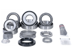RGA35-2058