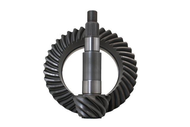 RGAM20-488