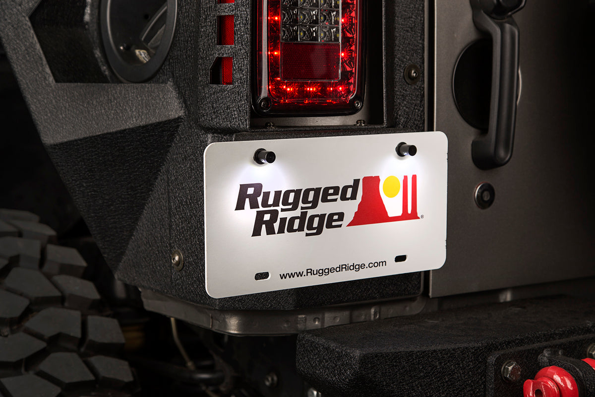 RGR11233.10