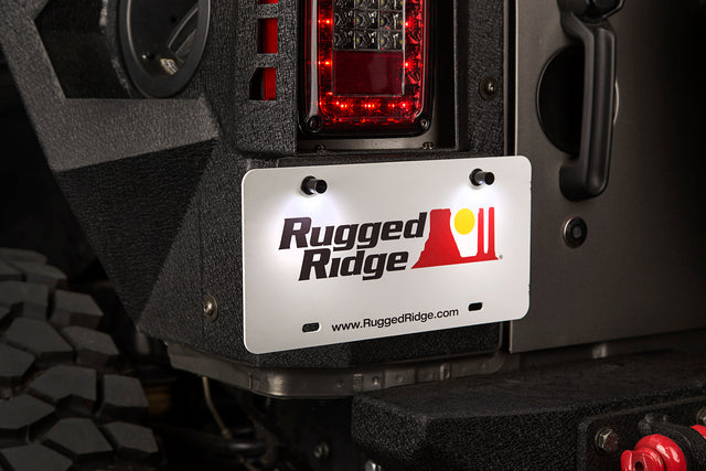 RGR11233.10