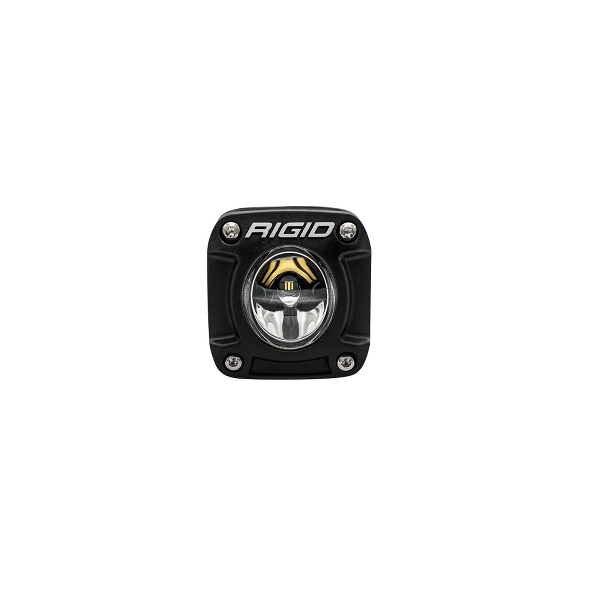 RIG491613