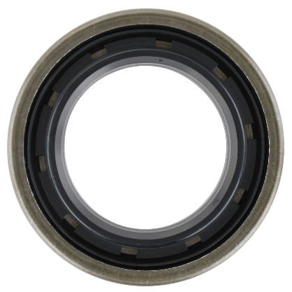 Dana DANA OIL SEAL 2019816 | 2019816