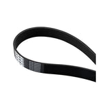 Pacific Engineering PPE Power Serpentine Belt - replaces 10PK1664  K100655 413100655 | 413100655