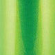 Wehrli Custom Fabrication Wehrli CUSAtom Coolant Tank OEM Placement for 19-24 Cummins 6.7L Sparkle Granny Smith 100284-SGS | 100284-SGS