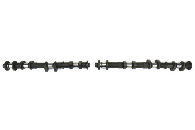 TOM142055