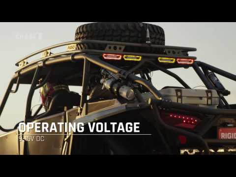 Rigid Industries RIGID CHASE REAR FACING 5 MODE LED LIGHT BLUE HALO BLACK HOUSING 90144 | 90144